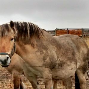 Meet your Posher, Mark